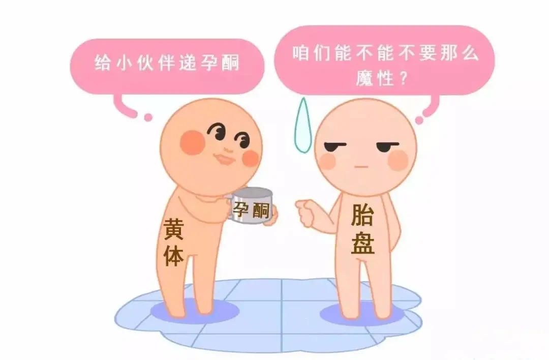HCG和孕酮低一定會(huì)流產(chǎn)？備孕女性必須知道的孕早期“秘密”